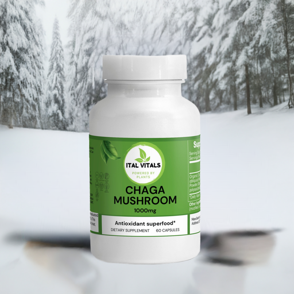 Chaga Mushroom