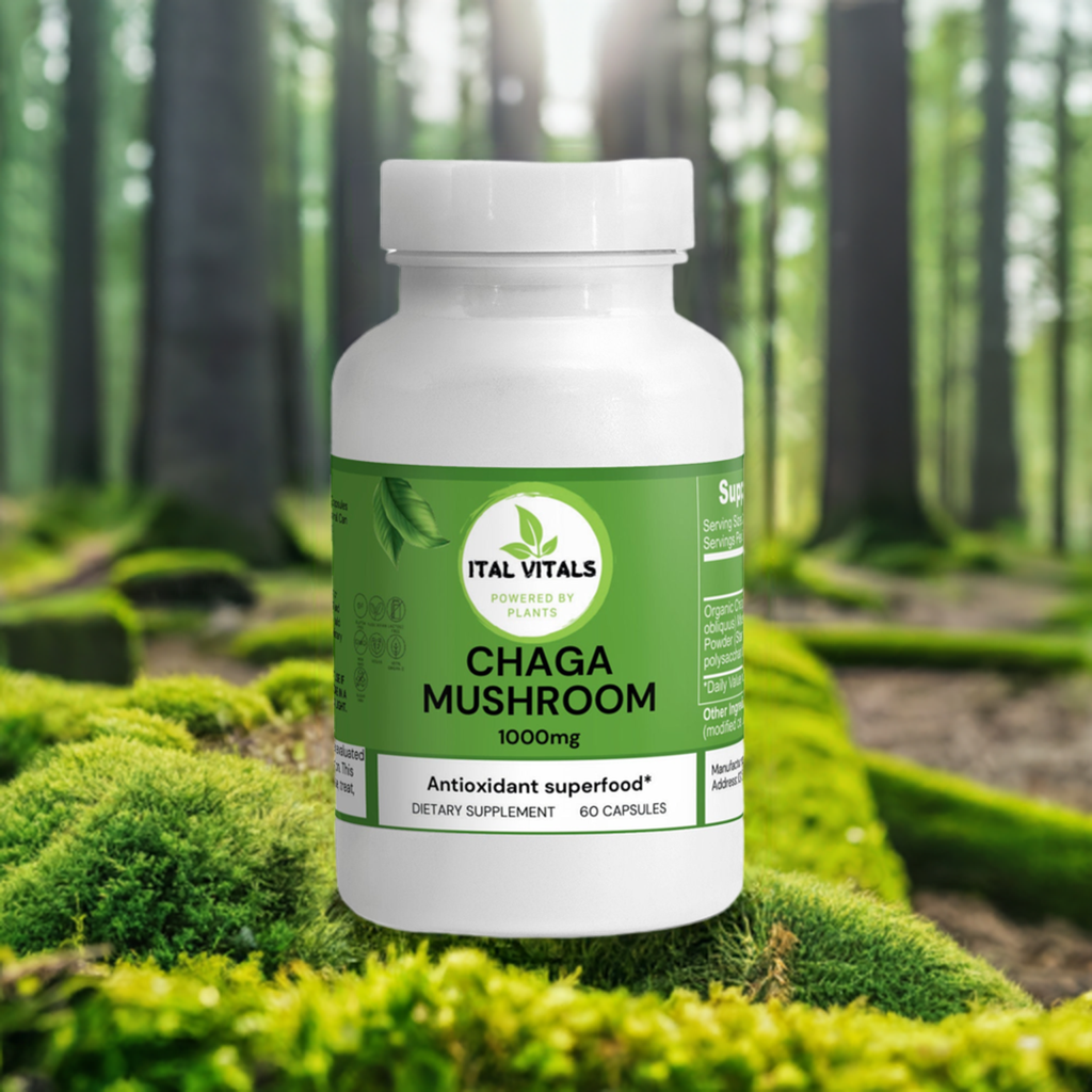 Chaga Mushroom