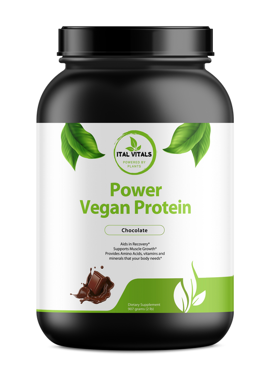 Power Vegan Protein (Chocolate) - Ital Vitals